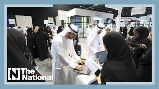 What is the UAE’s unemployment insurance scheme and how does it work?