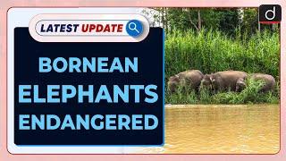 Bornean Elephants Endangered | IUCN | Latest Update | Drishti IAS English