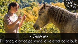 • THÉORIE • Distance, espace personnel et bulle