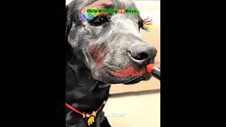 Girls With Dogs VS Boys With Dogs // Sigma Dog // Funk edit // Trollface // Viral // Tranding //