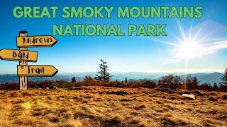 Andrews Bald at Great Smoky Mountains National Park | Trail Overview