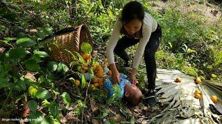 Full video: harvesting cabbage, ginger, fruit, and bamboo shoots to sell at the market _ cooking