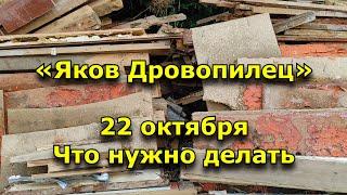 Народный праздник «Яков Дровопилец». 22 октября. Что нужно делать в этот день.