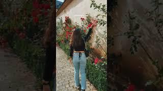 Bamberg in love