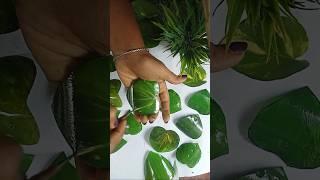 Fake plant ️from waste plastic bottle/Diy artificial money plant#diy#art#craft#bestoutofwste#shorts