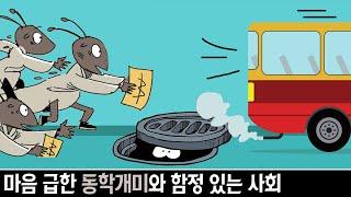 동학개미가 될 수밖에 없었던 우리들과 안전하지 못한 사회