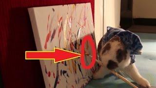 Smart rabbit- I gave him a paint brush, you'll never believe what happened next...