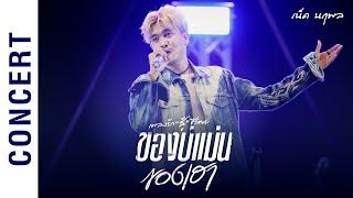 ของบ่แม่นของเฮา - เน็ค นฤพล Concert | Live อัลบั้มเพลงรัก 'สู้' ชีวิต