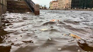 Под воду ушел крупнейший российский город. Санкт-Петербург рухнул в «дождевую яму»
