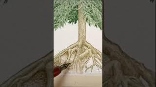 Drawing every single pine needle for my latest commission. Prints soon at thesalsacreative.com