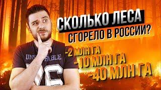 СКОЛЬКО ЛЕСА СГОРЕЛО В РОССИИ? Честные цифры