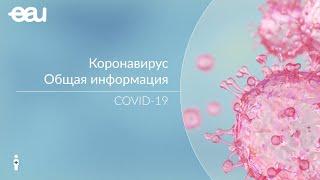 Коронавирус, общие сведения о COVID-19  Информация о КОВИД-19