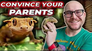 Convince Your Parents Or Spouse To Get a Pet Reptile!