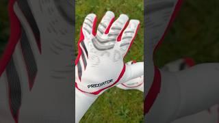 NEW CHAMPAGNE ADIDAS PREDATOR#goalkeeper