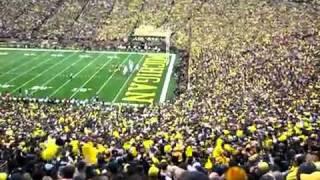 Michigan Stadium Explodes after Kevin Koger TD catch.