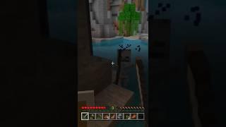 I hate Skeletons #minecraft #youtube #world