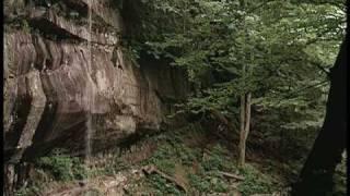 Eastern National Parks & Historic Sites DVD - nature intro