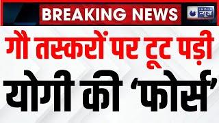 Meerut Gau Taskar Encounter: मेरठ पुलिस ने 6 गौ तस्करों का किया एनकाउंटर। Breaking News