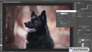 Dog Photoshop Speed Editing Tutorial