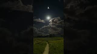 Which path would you choose #aesthetic #aurora #vibes #relax  #travel #relaxing #asmr