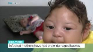 Debora Diniz talks to TRT World about Zika virus