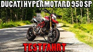 Ducati Hypermotard 950 SP TEST | Die ÜBER-Supermoto?