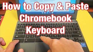 Chromebook: How to Copy & Paste w/ Keyboard Shortcut