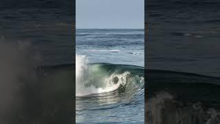 May Swell Hits La jolla