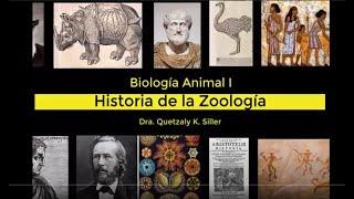 Historia de la Zoología