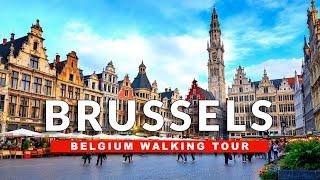 [LIVE] Experience the REAL Brussels Belgium Winter Walk Like a LOCAL!