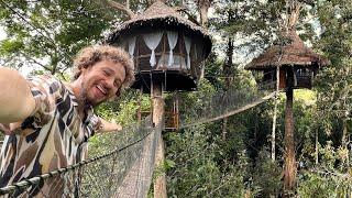 This hotel is built on TREES | Tree Lodge Amazonas