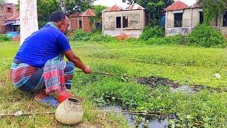 fishing  Best fishing today Amazing fishing video #fishing #hookfishing #reel #মাছধরা