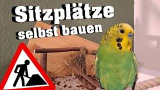 Tipps zum BAU von SITZPLÄTZEN für deine Wellis!