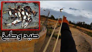 صيد حمام الجزء 72 Pigeon hunting