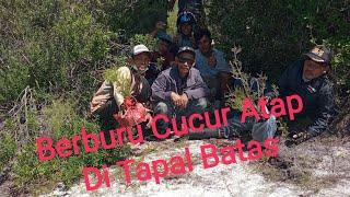 Berburu Cucur Atap Di Ujung Borneo