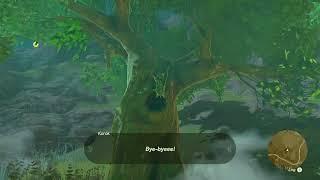 Korok Seed 565, Pico Pond | The Legend of Zelda: Tears of the Kingdom