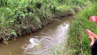 GANAS NYA.!! MANCING DI SINI YANG MAKAN IKAN BESAR SEMUA PARIT KECIL IKAN NYA MONSTER2