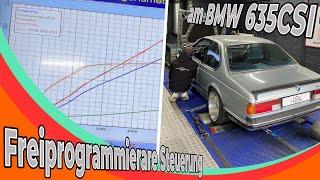 PM Tec freiprogrammierbare Steuerung von KMS im BMW 635 CSI E24