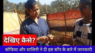 दो मुहा साँप 25 करोड़ का क्यों बिकता हैं?SAND BOA SNAKE  | sand boa rescue | girl and snake