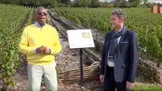 GlobeTrotter Jon Haggins TV in Champagne, France