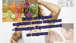 Когда наступает овуляция после месячных - Календарь беременности по неделям