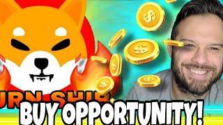 Shiba Inu Coin | SHIB And Top Meme Coins Offer Huge Buy Opportunity!