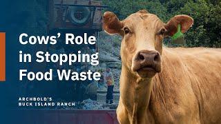 Part 4: Cows and Upcycling | Understanding the Carbon Cycle on a Cattle Ranch