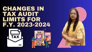 Updated Tax Audit Limits For F.Y. 2023- 2024 || CA ANITA AGRAWAL