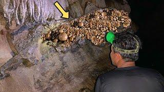 Hikers Discover Mysterious Stones in Cave—Expert Left Speechless