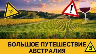 Большое путешествие по Австралии - винные регионы, телескопы и Урал