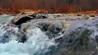 1 Hour of Relaxing River White Noise For Sleep, Study or Focus