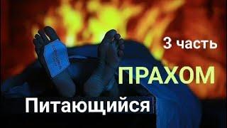 Питающийся ПРАХОМ 3 часть