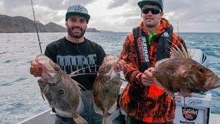 Fishing & Adventure Season 3 Ep 12 - HAURAKI GULF (Kawau Is.)