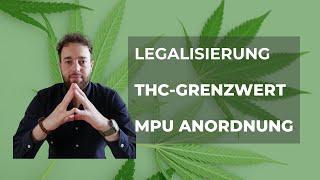 Legalisierung: aktuelle Rechtslage zu Cannabis im Straßenverkehr, THC Grenzwert und MPU Anordnung